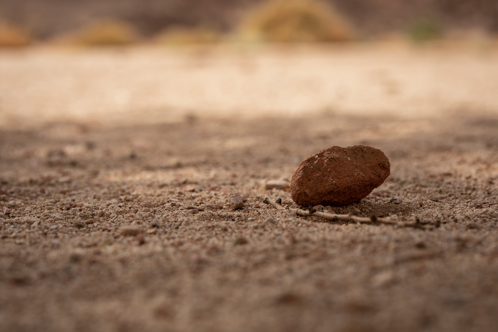 Human & Nature  outoftime 9